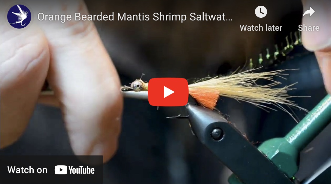 Tying the Orange Bearded Mantis Shrimp Saltwater Fly Fishing Fly
